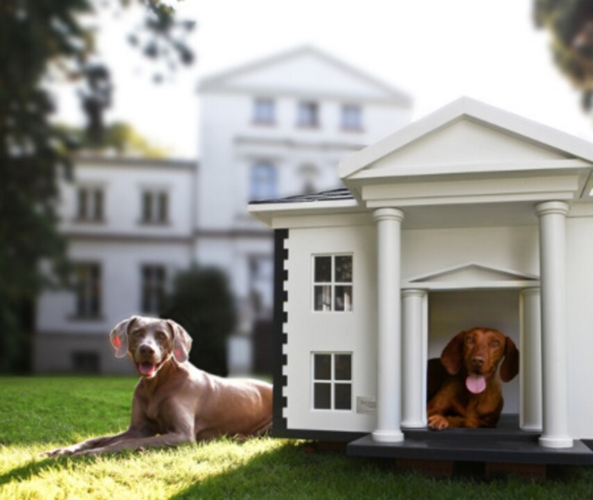 Screenshot_2025-02-17-21-23-46-586-edit_com.google