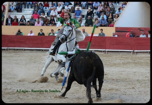 joao ribeiro teles.jpeg