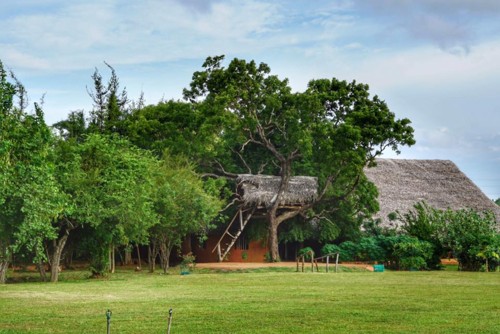 21768210_10214529342657386_7078655420171200784_n.j