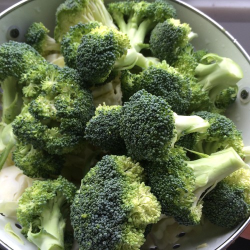 brocolos_poetenalinha.JPG brocolos_poetenalinha.JPG