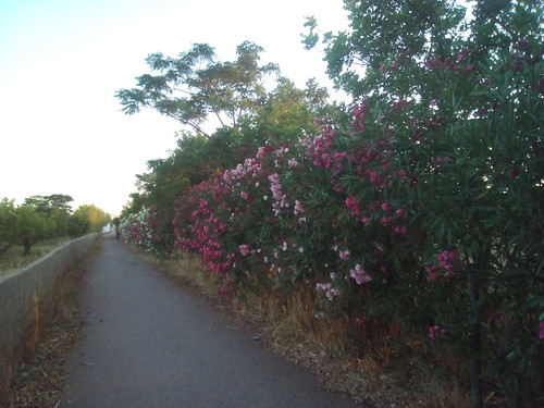 Caminhos vicinais. Foto original DAPL 2016
