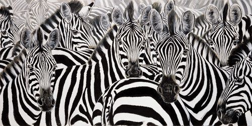 a preto e branco.jpg a preto e branco.jpg