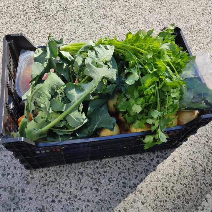 421580709_764585915698821_1911147039812004071_n.jp