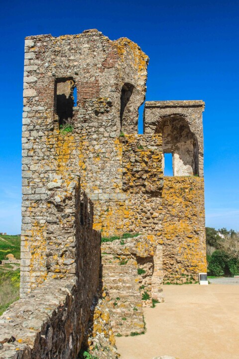 castelo de montemor 11.jpg