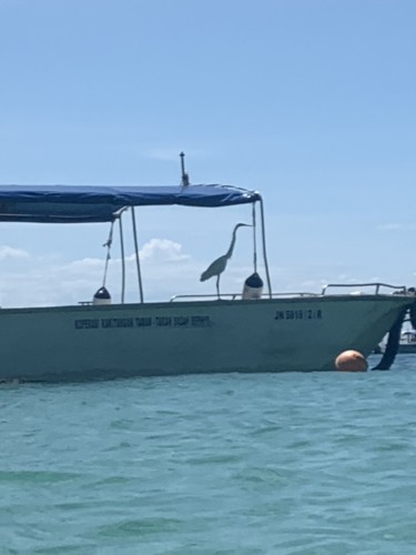 IMG_0408.JPG IMG_0408.JPG