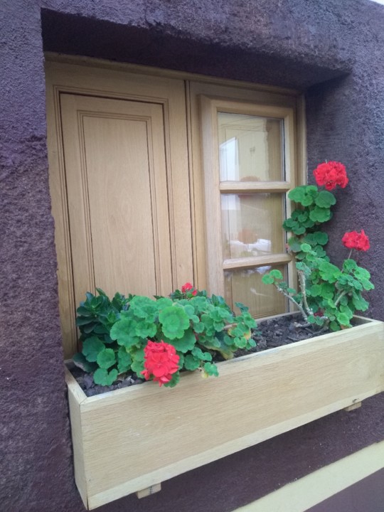 foto janela foto janela