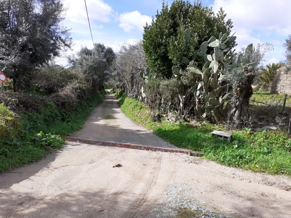 Caleira Azinhaga Porcosunho. Foto Original. 2021.02.21.jpg