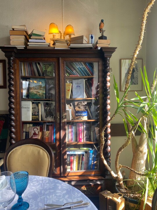 Imagem WhatsApp 2024-10-26 às 15.42.57_740b621e.j