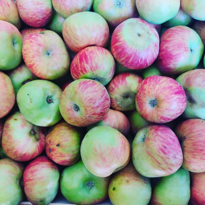 520260384_18489379666066958_3657202348126333921_n.