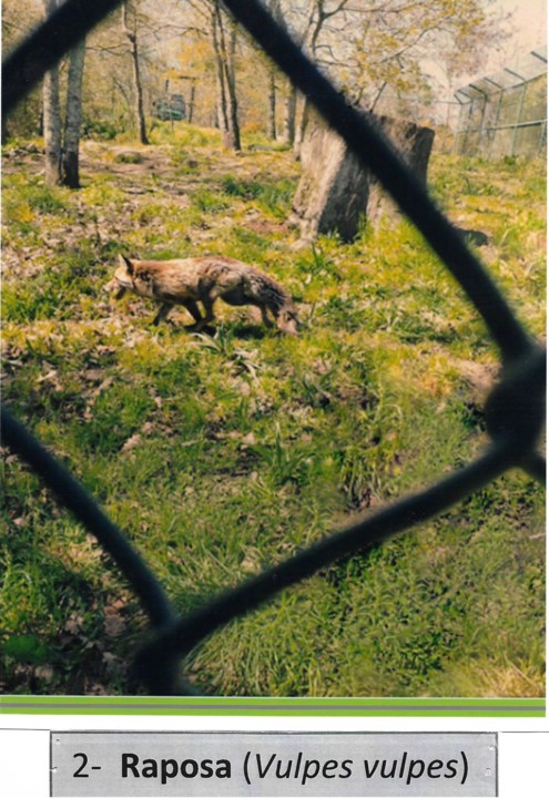 Concurso Fotografia.jpg Concurso Fotografia.jpg