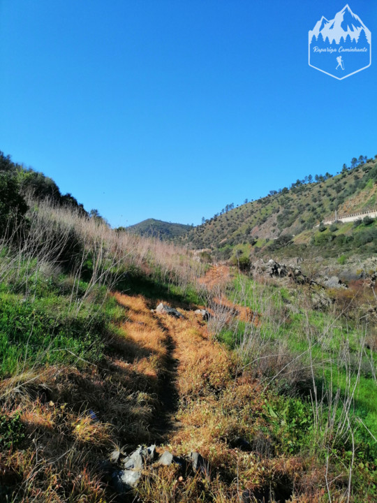 Photo_1583864048531.jpg Photo_1583864048531.jpg