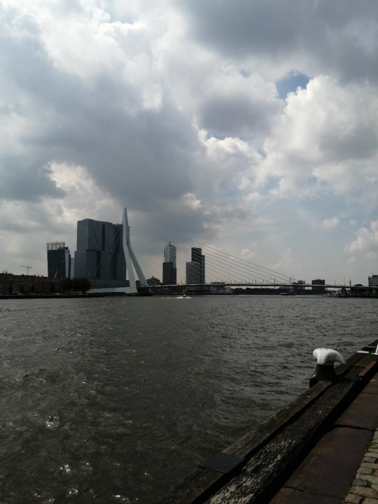 IMG_20200718_123017.jpg IMG_20200718_123017.jpg