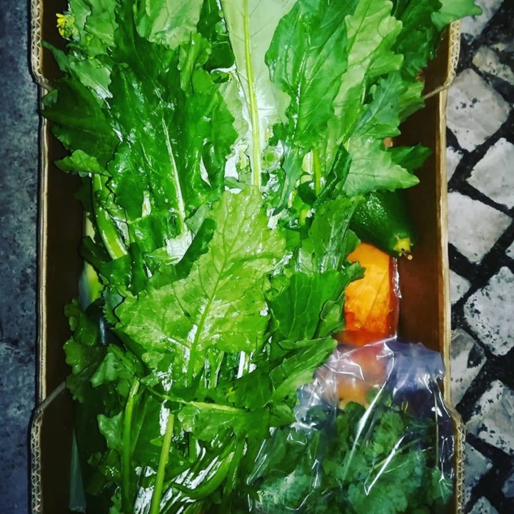 73255995_1491306344342455_8382150847382945792_n.jp