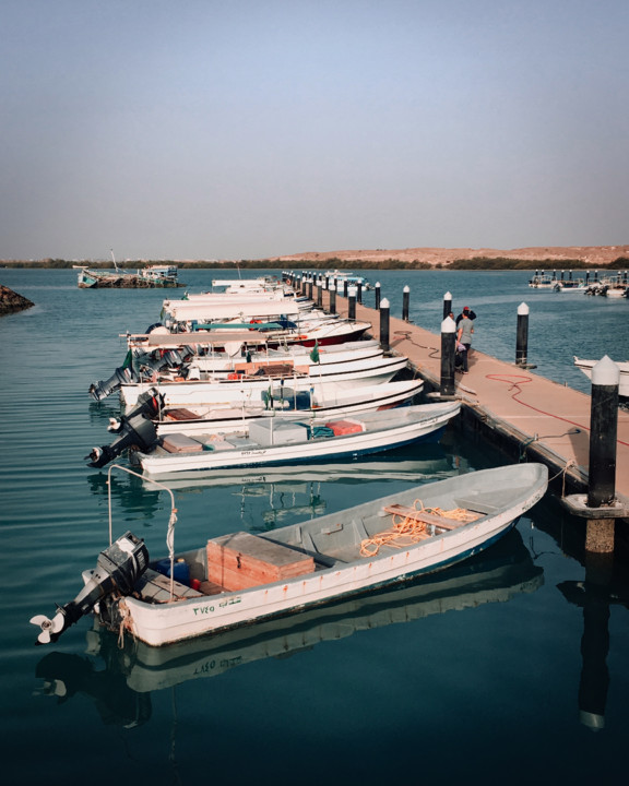 20180302 2018 Farasan B.jpg