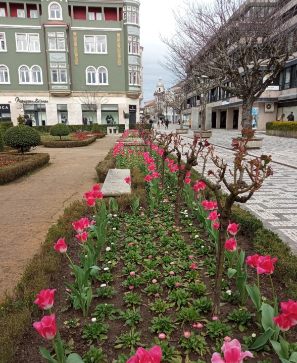 IMG_20210223_120943.jpg IMG_20210223_120943.jpg