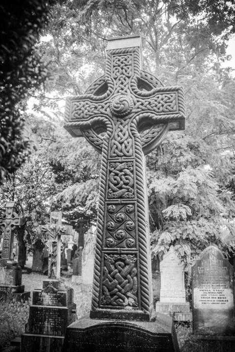 cemiterio de glasnevin 73.jpg
