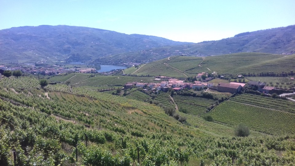 20190526_153505.jpg 20190526_153505.jpg