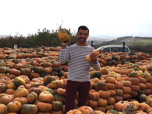 Slide6.jpg Slide6.jpg