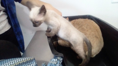 IMG_20161028_160724.jpg IMG_20161028_160724.jpg