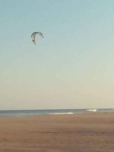 Alma de Poeta Foto original DAPL 2016.jpg