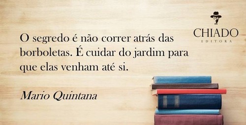 13775910_10154575276783287_817440211114322369_n.jp 13775910_10154575276783287_817440211114322369_n.jp
