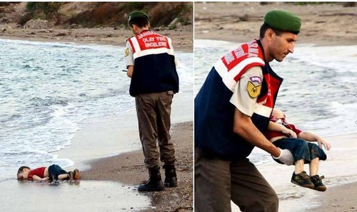 11951118_10204828547577718_6223632325881731689_n.j