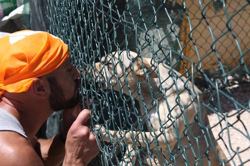 13775855_1130795890300582_4248479758423198379_n.jp