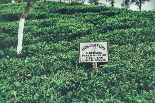 22154706_10214603963882870_349847621418554783_n.jp