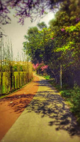 P_20150402_141845~2.jpg P_20150402_141845~2.jpg