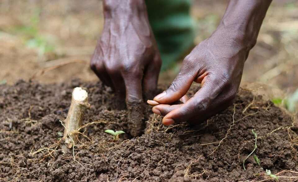 Blog 02 - Solos STP.jpg