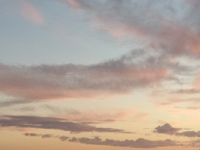 IMG_20201009_191435.jpg IMG_20201009_191435.jpg