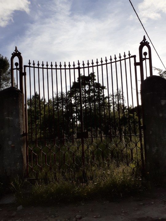 Portão de quinta. Foto original. 2021.05.12.jpg