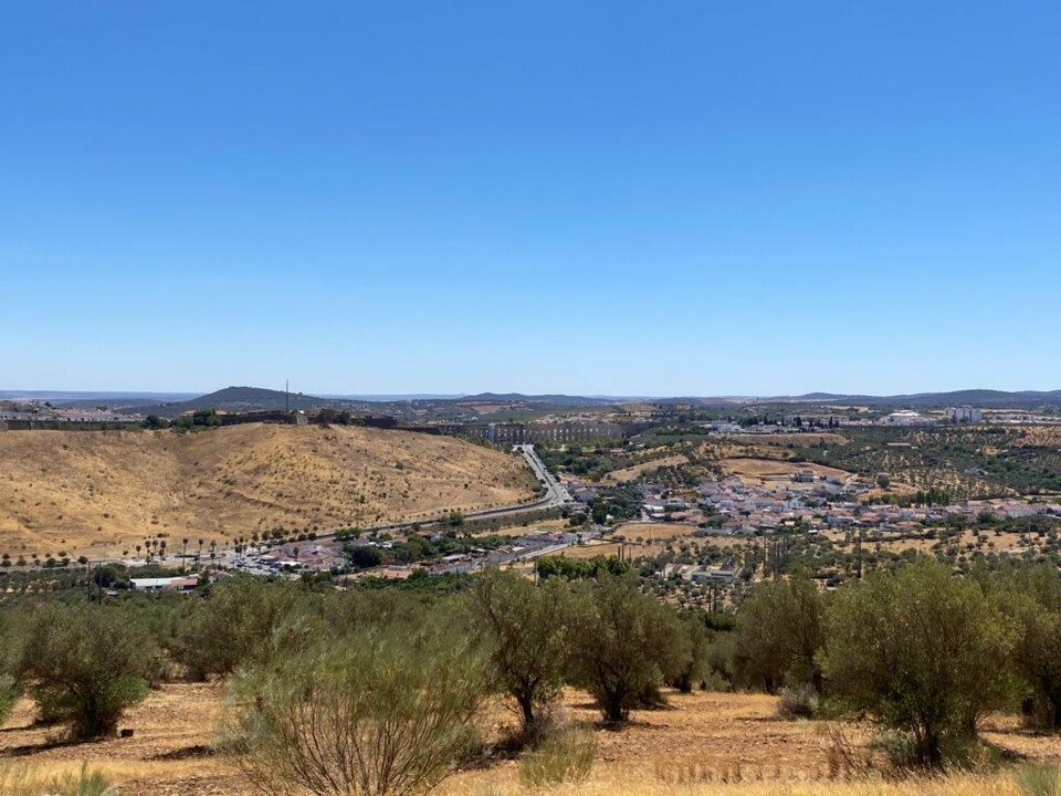 WhatsApp Image 2023-02-28 at 17.51.58 (8).jpeg