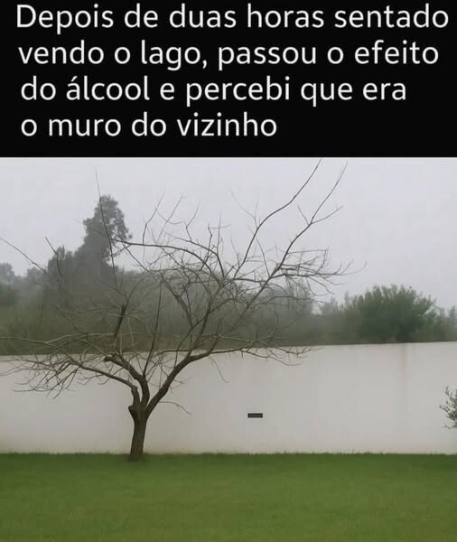 muro do vizinho.jpg
