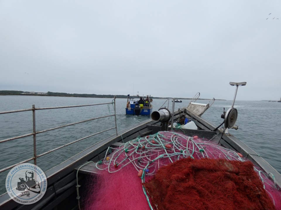 193442468_4256817934381243_445336414780239301_n.jp