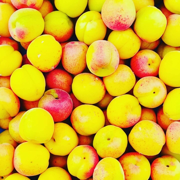 505427402_18483379258066958_2439022394260241718_n.