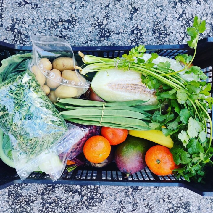 481658266_18463067911066958_5062571036177604879_n.