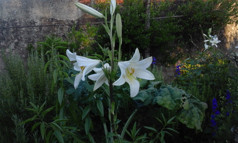 Foto Original. 2020. 05. jpg