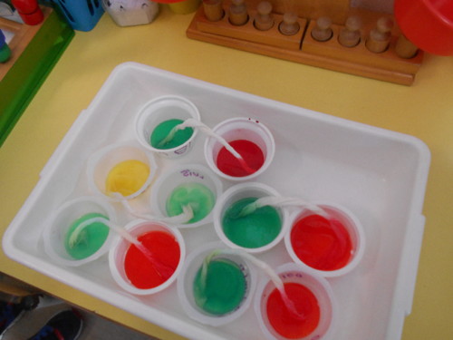 DSCN0379.JPG DSCN0379.JPG