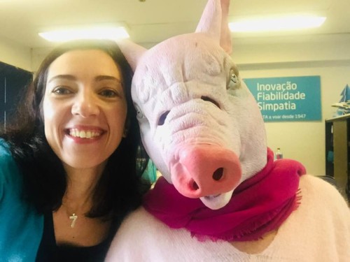 53926395_2322186197801304_8886533694748098560_n.jp 53926395_2322186197801304_8886533694748098560_n.jp