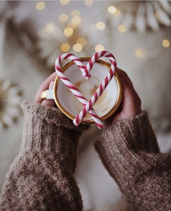 599791640_1358476849623909_8476579125894389772_n.j