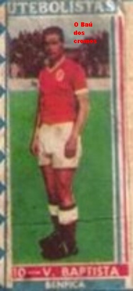 vitor baptista---.jpg