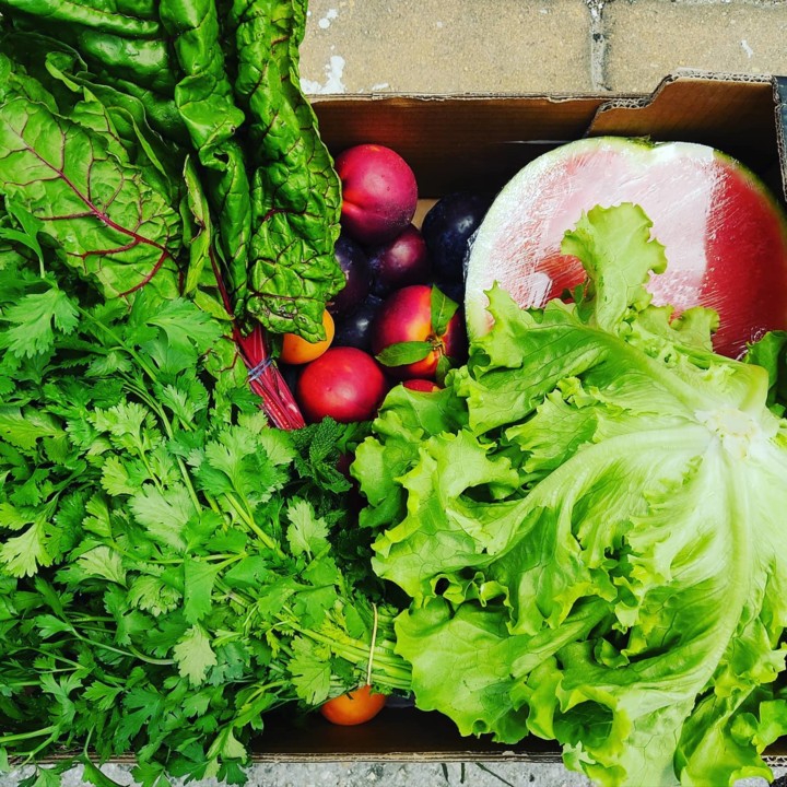 200559720_2050283848444699_4463045162714802324_n.j 200559720_2050283848444699_4463045162714802324_n.j