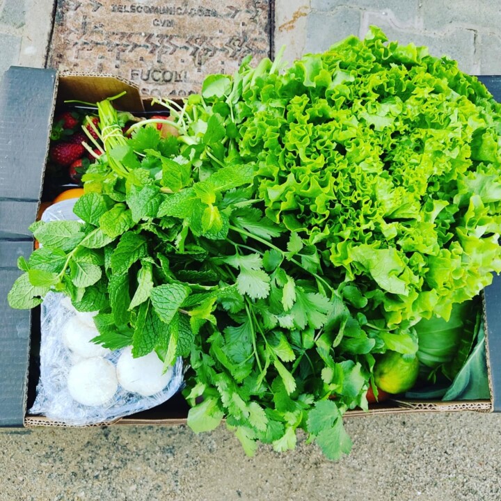 481424372_18463067872066958_7795661863468550663_n.