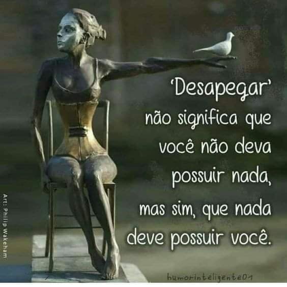 103060155_326244485031430_8293837904225649607_n.jp