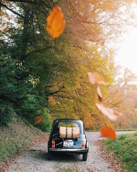 308609252_474177698080563_7011634546852702136_n.jp