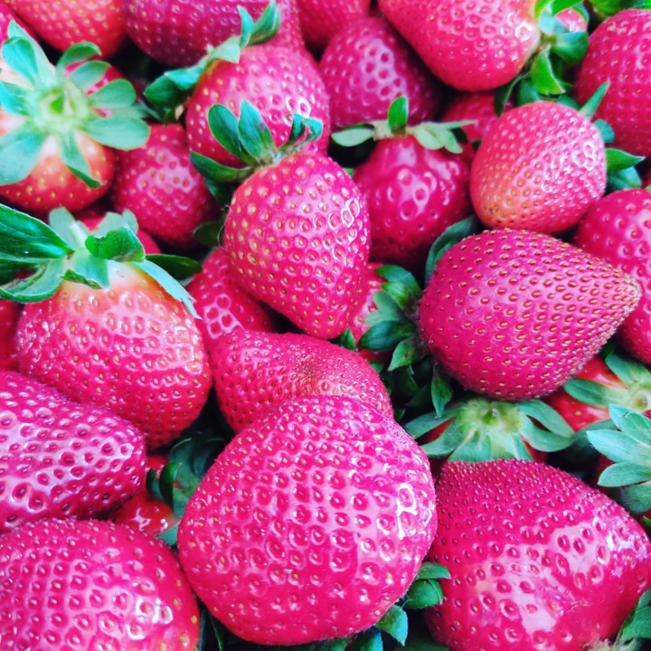 189024559_2032413160231768_1815906497522222509_n.j