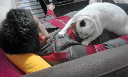 20170511_205042.jpg 20170511_205042.jpg