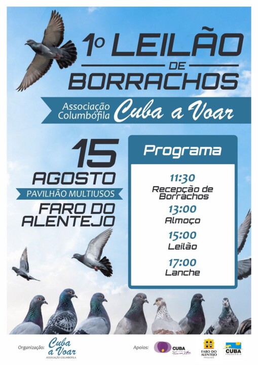 Cuba a voar 15 agosto.jpg