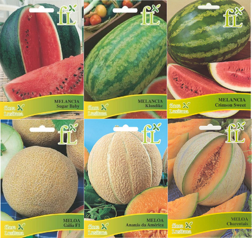 Sementes Hortícolas 4.png Sementes Hortícolas 4.png